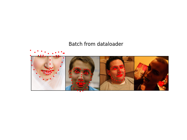 Batch from dataloader