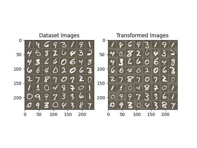 Dataset Images, Transformed Images