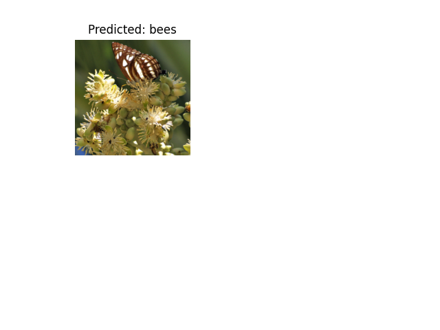 Predicted: bees