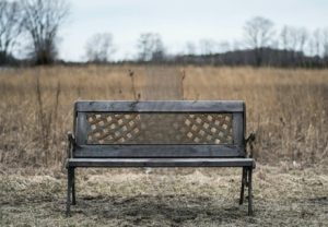A bench without the dog