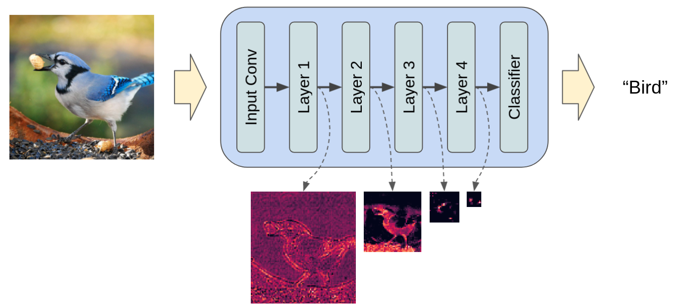 How to Train State-Of-The-Art Models Using TorchVision's Latest