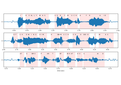 ASR Inference with CTC Decoder