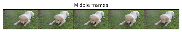 Middle frames