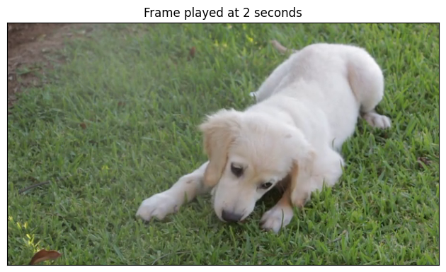 Frame played at 2 seconds