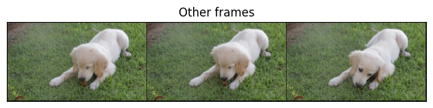 Other frames