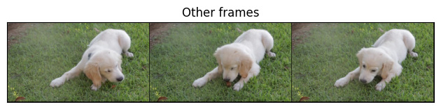 Other frames