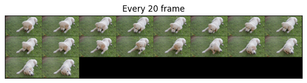 Every 20 frame