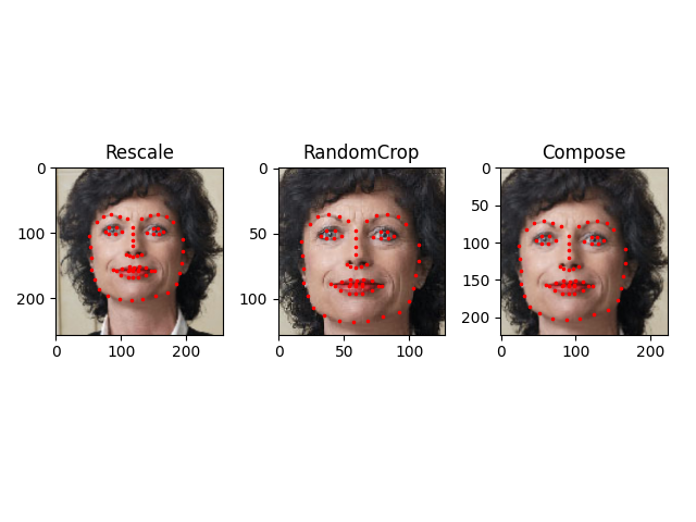 ../_images/sphx_glr_data_loading_tutorial_003.png