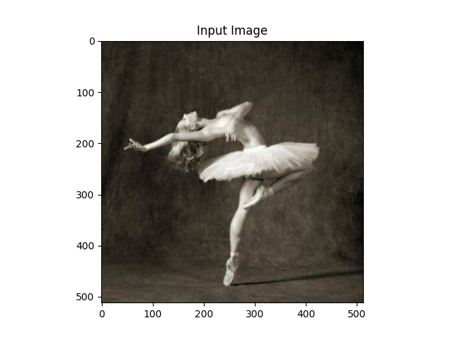 Input Image