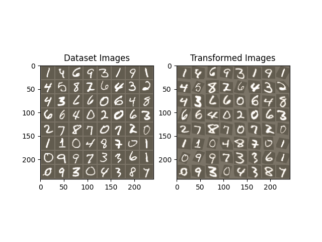 Dataset Images, Transformed Images