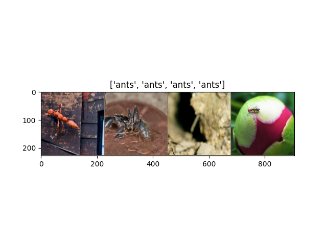 ['ants', 'bees', 'bees', 'ants']