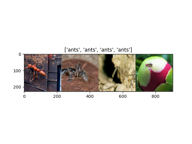 ['ants', 'ants', 'ants', 'ants']