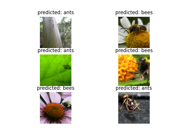 predicted: ants, predicted: bees, predicted: bees, predicted: ants, predicted: ants, predicted: bees