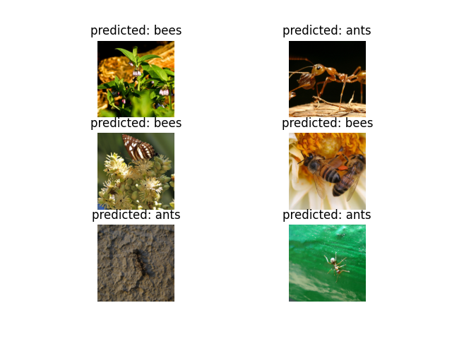 predicted: ants, predicted: ants, predicted: bees, predicted: bees, predicted: bees, predicted: ants