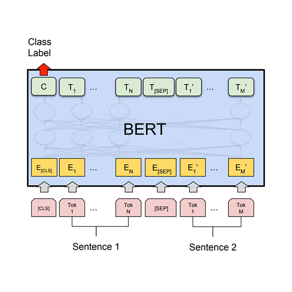 Pytorch language 2024 model tutorial